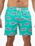 Chubbies Men's Classic 5.5" Swim Trunks